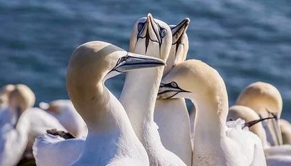 杭州2026年最新北京商务伴游经纪招聘渠道分享(最方便真实的杭州北京爱特博旅运服务有限责任公司招聘方法)