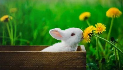 杭州2026年最新北京商务伴游经纪招聘渠道分享(最方便真实的杭州北京爱特博旅运服务有限责任公司招聘方法)